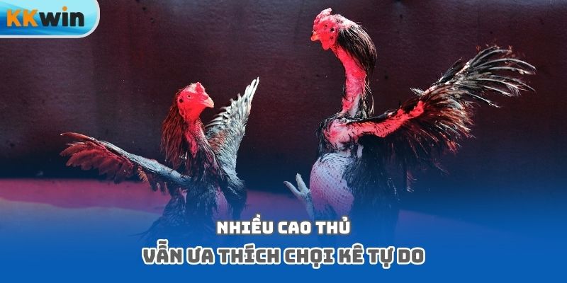 Nhiều cao thủ vẫn ưa thích chọi kê tự do