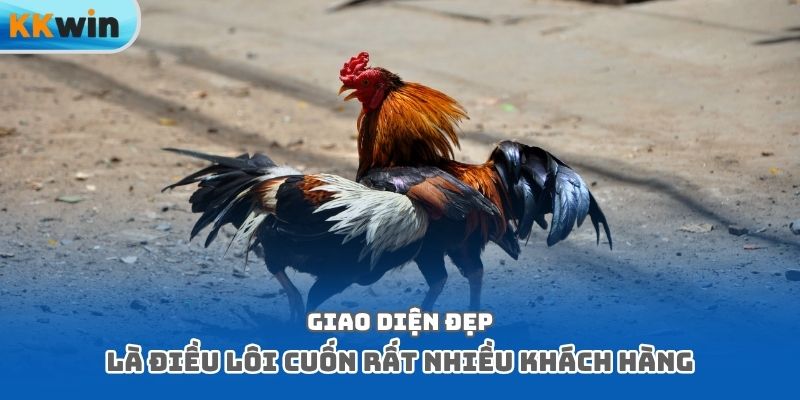 Giao diện đẹp là điều lôi cuốn rất nhiều khách hàng