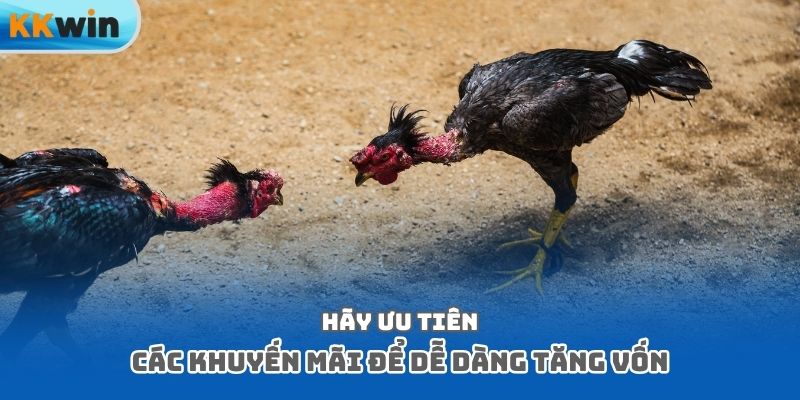 Hãy ưu tiên các khuyến mãi để dễ dàng tăng vốn
